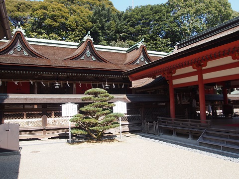 ＜住吉神社唐門及び透塀＞画像