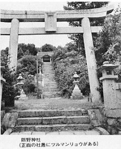 ＜熊野神社のツルマンリョウ自生地＞画像