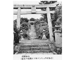 ＜熊野神社のツルマンリョウ自生地＞関連画像002（オリジナル画像表示リンク）